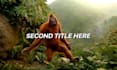 do funny monkey dancing animation with your music and text