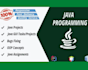 do java projects java netbeans projects also expert in mysql oracle database