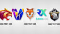 create a professional custom logo animation with low price
