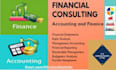 accounting and finance assignments , projects