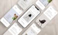 do UI UX design for your business website