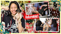 design eye catching amazing youtube thumbnails