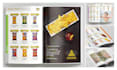 design a promotional product catalog, sale flyer, or  brochure for your business
