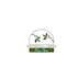 design premium dynamic little nuts logo in 1 day