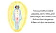 remove negative entities and energies