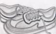 draw pencil sketch, logo design, and character illustrations, line art