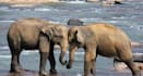 provide sri lanka 10 days tour package