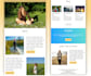 design mailchimp email template newsletter