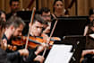 teach you how to play the violin