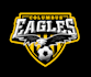 design a professional modern eagle logo