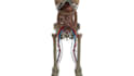 do 3d medical animation