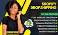 build 7 figure shopify dropshipping store, shopify website