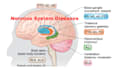 be your online tutor for neurobiology