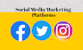 be your social media marketing manager for facebook twitter and instagram