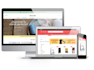 build shopify store or dropshipping ecommerce store