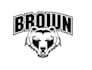 make modern high quality bear logo design in high definition