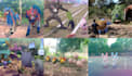add 3d pokemon in your photo