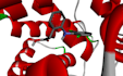do molecular docking studies for a research article, drug discovery