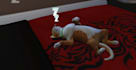 play the sims 2 3 4 medieval and mysims