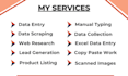 do data entry, collection, web research, file conversion and lead generation