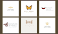 create a designer insect butterfly dragonfly bee logo
