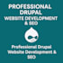 customize your drupal website with SEO, webforms and full support