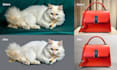 do pixel perfect photo retouching