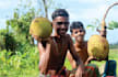 make natural village cooking video for your youtube