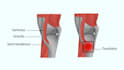 create personalized high quality medical illustrations
