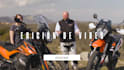 do a professional video edit and motion graphics