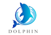 design professional dolphin logo
