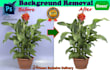do replace background image cutout and object remove