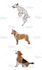 make your dog, cat, and animals into cartoon vector portrait