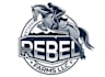 design modern horse logo