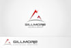 create a bold, stylish, electrical logo in 1 day