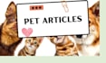 write pet articles, pet blogs, and medical content