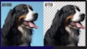 remove the background of your advertising photo in 2 hours