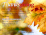 create a flyer, postcard, or handbill