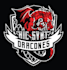 design a professional boxing logo