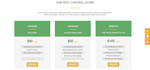 create a custom and responsive HTML website template design