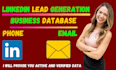 b2b linkedin lead generation business database business leads data collection