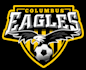 design modern professional football logo