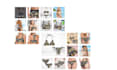 build dropshipping and print on demand ecommerce website, plus base pod design