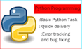 do your python programming task