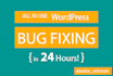 fix any wordpress bug in 24 hours