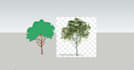 creat 2d face component, model in sketchup