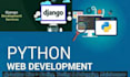 develop high performance website, API for web, mobile app