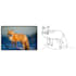 create animation continuous line art design from your animal
