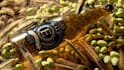 a video animated bottle labels mockup beer, wine