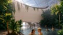 3d design and render realistic architectural projects